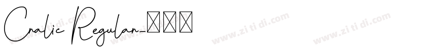 Cralic Regular字体转换